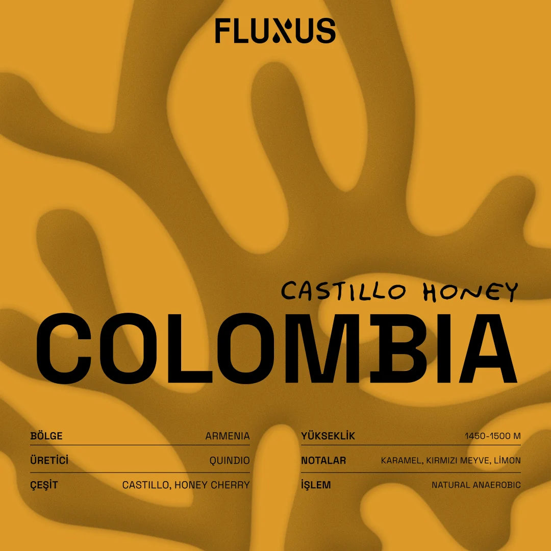Colombia Jairo Arcila Castillo Honey Red Fruits 250 gr