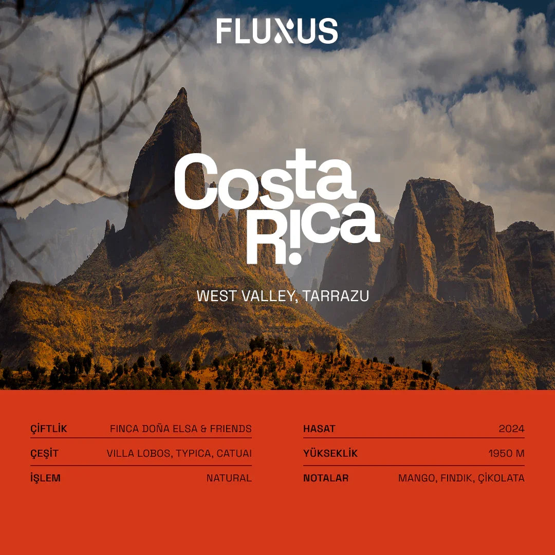 Kosta Rika Mango Sugar Rush Natural Filtre Kahve