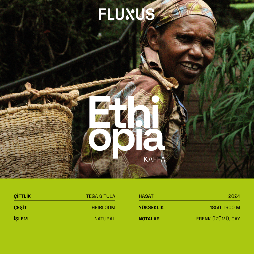 Etiyopya Tega Tula Natural Filtre Kahve