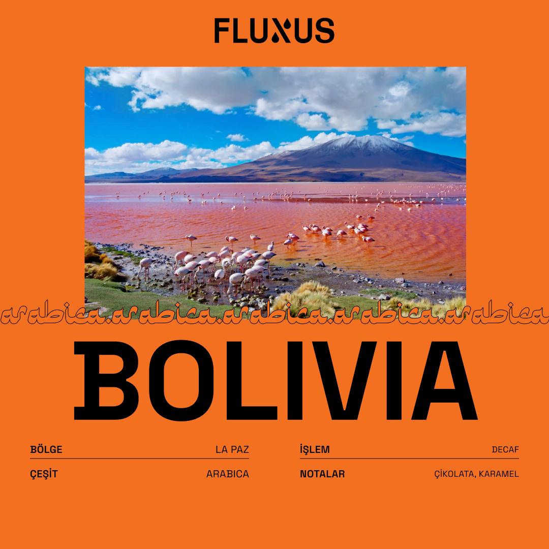Bolivia Decaf 250 gr