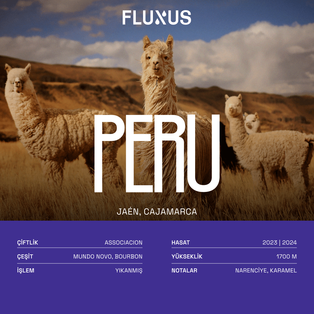 Peru Café del Futuro Yıkanmış Filtre Kahve