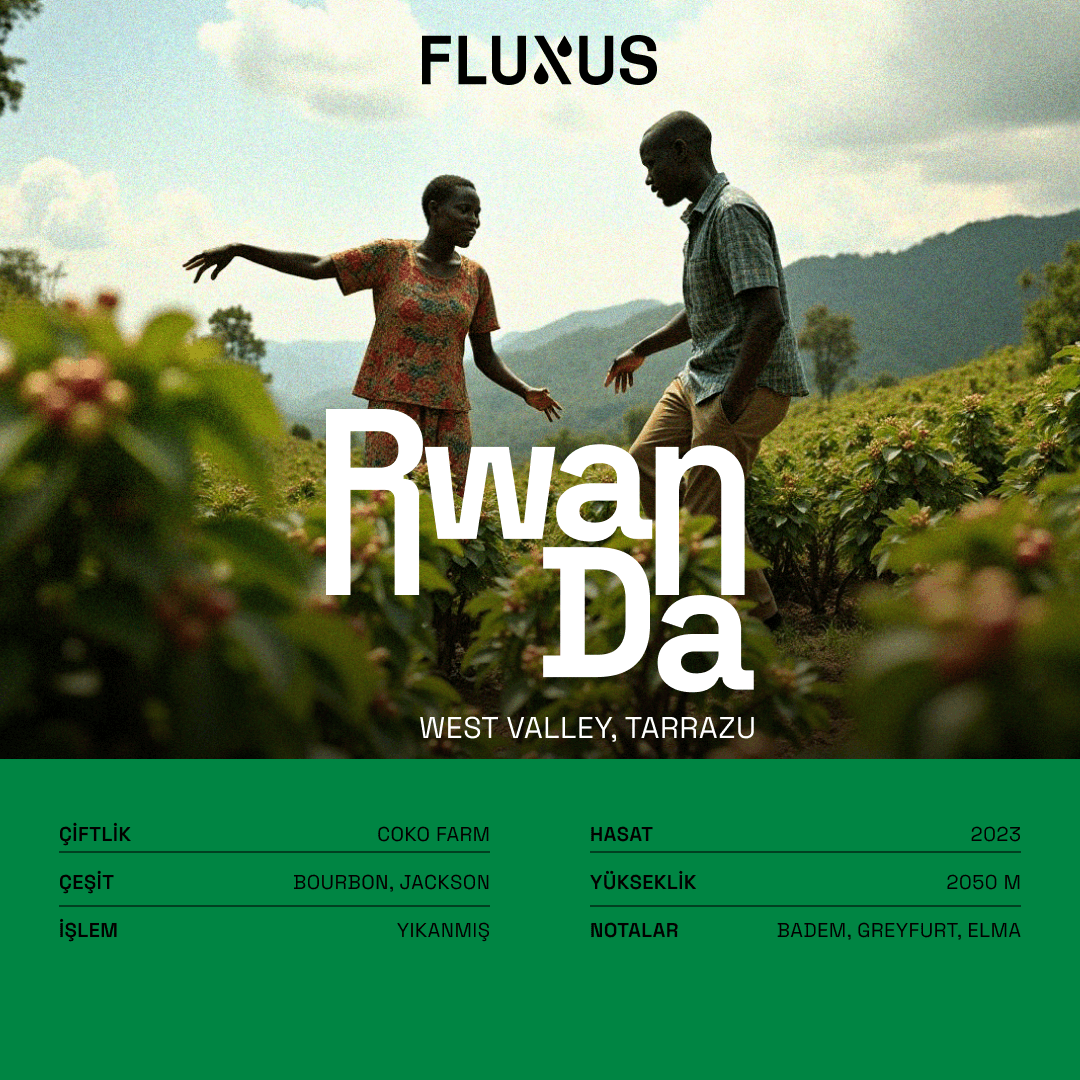 Rwanda Gakenke Coko Farm A1 Grade Yıkanmış Filtre Kahve