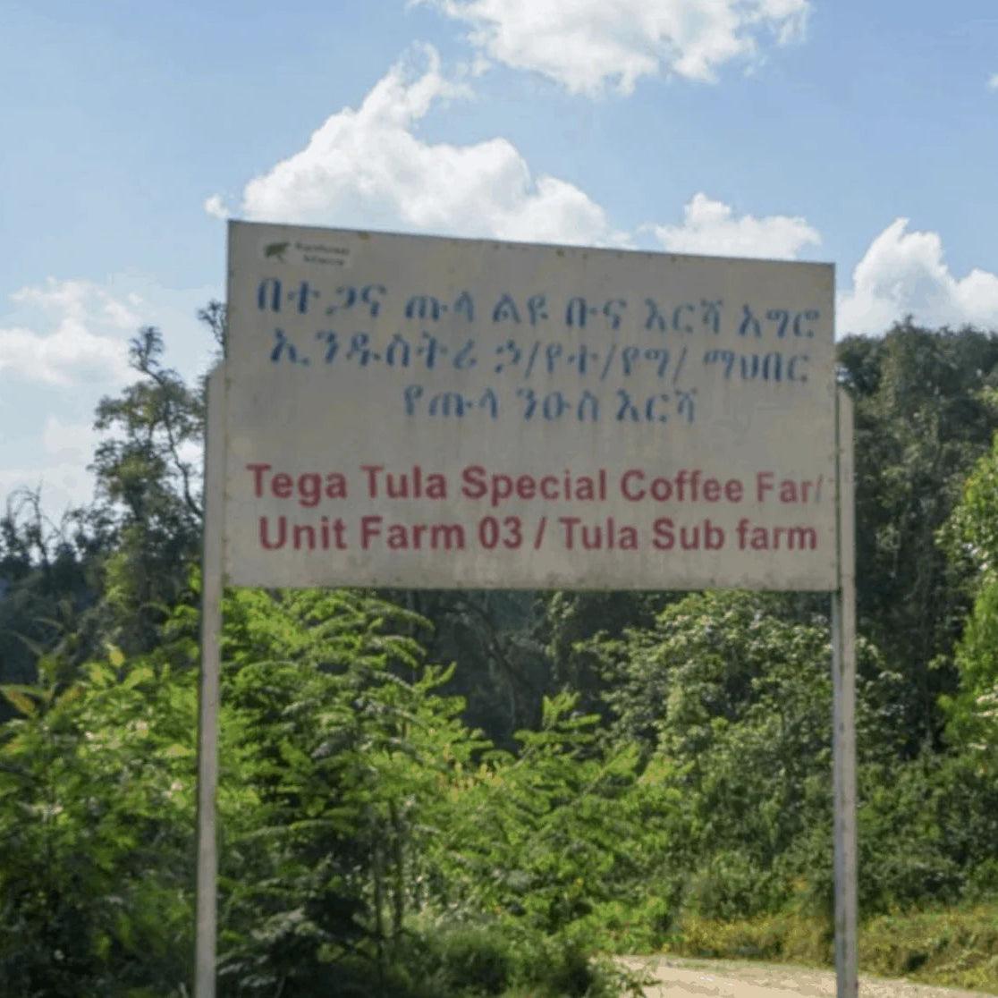 Etiyopya Tega Tula Natural Filtre Kahve