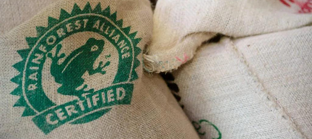 Kahve Sertifikaları Ne Anlama Geliyor? Yeni Yılda Bilinçli Tercihler - kahvebi