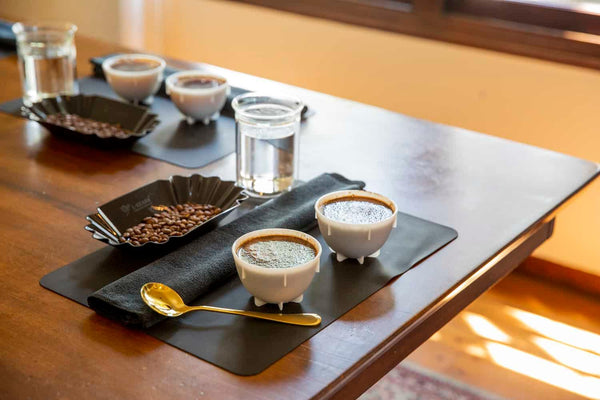 Barista Sırları: Cupping ile Kahve Profesyonelliği - kahvebi