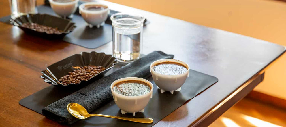 Barista Sırları: Cupping ile Kahve Profesyonelliği - kahvebi