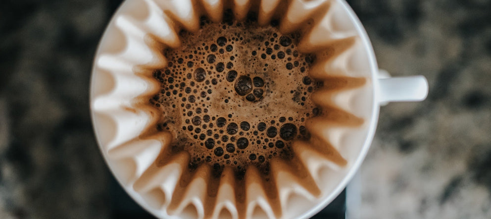 Filtre Kahve Nedir? Filtre Kahve Demleme Yöntemleri Nelerdir? - kahvebi