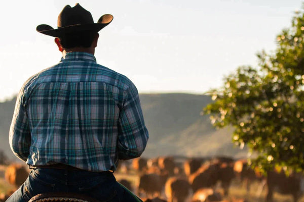 Kovboy Kahvesi Nasıl Yapılır? - kahvebi