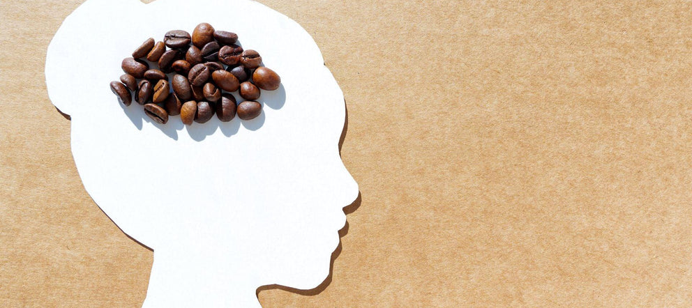 Kahve ve Beyin: Günlük Kahve Tüketiminin Zihinsel Performansa Etkileri - kahvebi