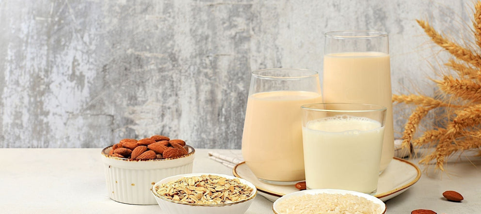 Vegan Kahve Rehberi: Bitki Bazlı Süt ve Kahve Kombinasyonları