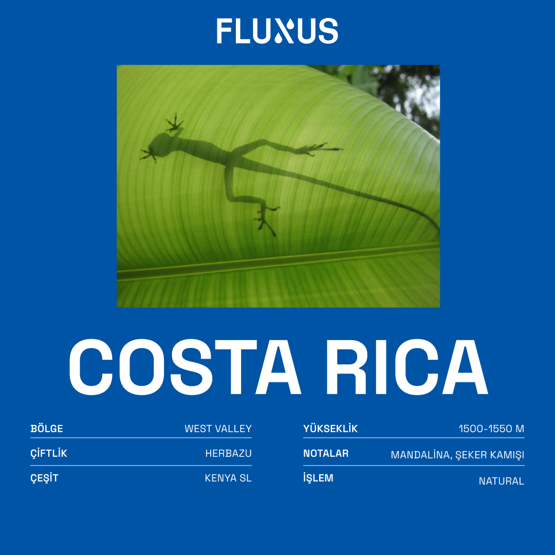 Costa Rica Herbazu Kenya Natural 250 gr