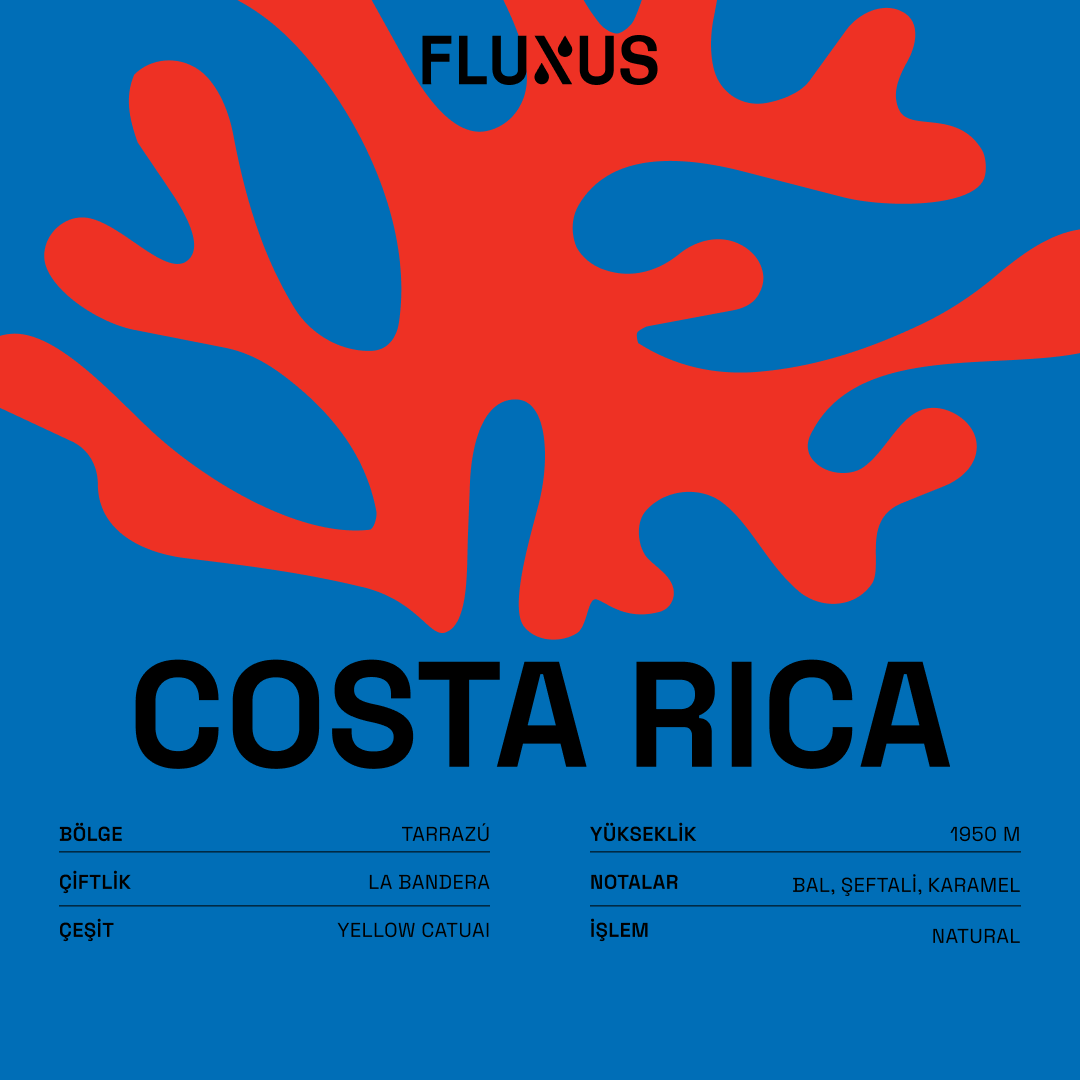 Costa Rica La Bandera Yellow Catuai Natural 250 gr