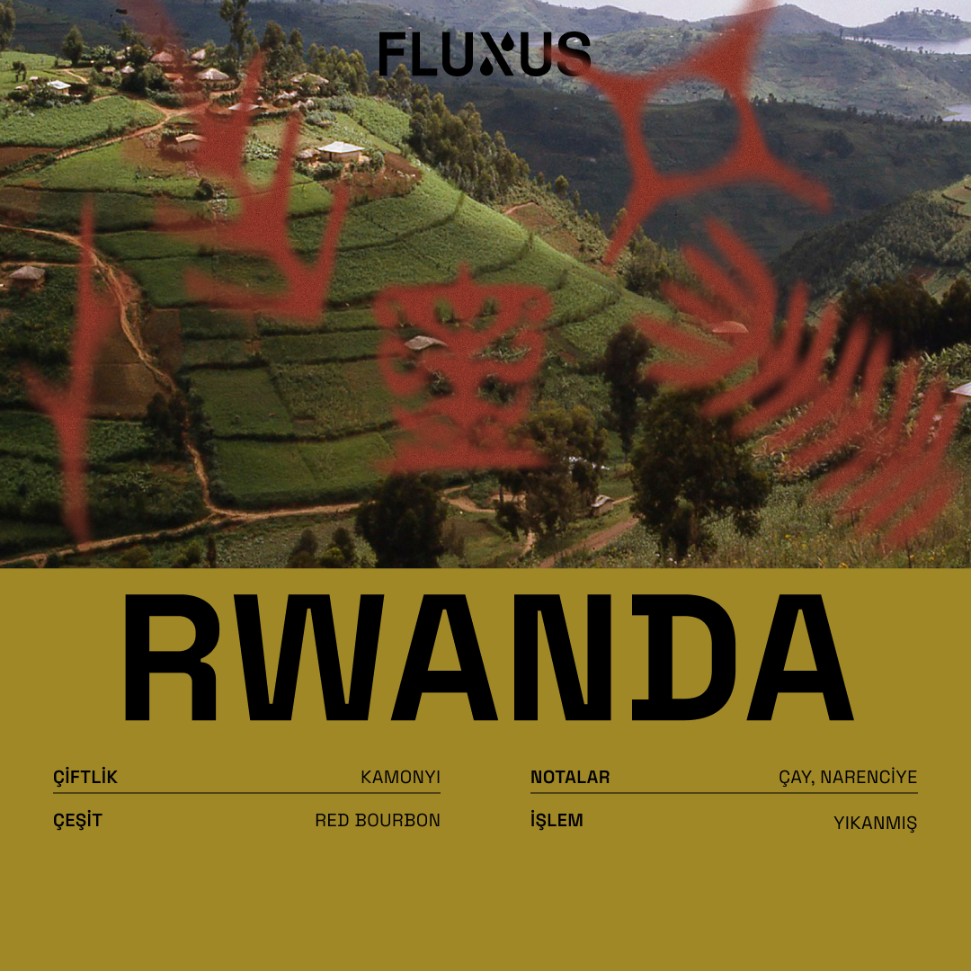 Rwanda Regional Red Bourbon Yıkanmış 250 gr